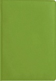 Ежедневник "Федерико" А-5, недатированный (фисташковый) с логотипом